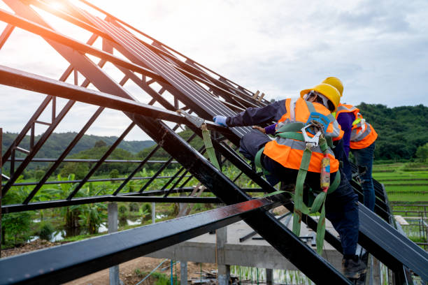 Best Roof Gutter Cleaning  in Roseville, CA